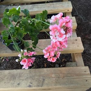 Hello this is just an advertisement